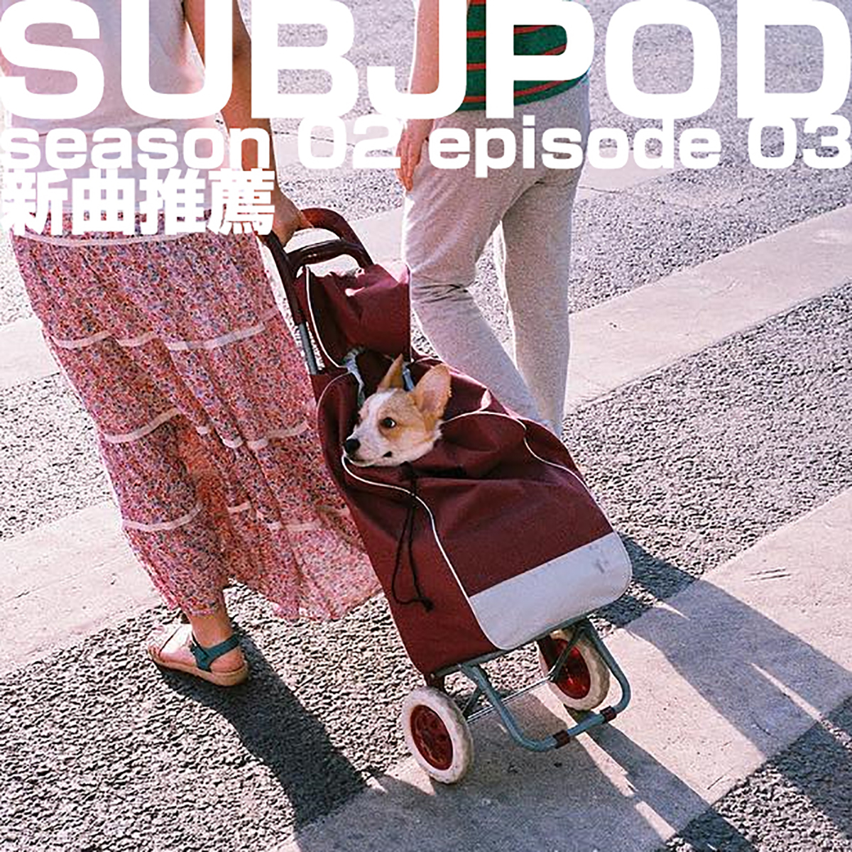 二〇二一新歌交流会・ROUND 1